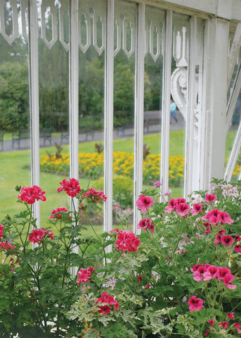 Q212 -  Through the Greenhouse Window