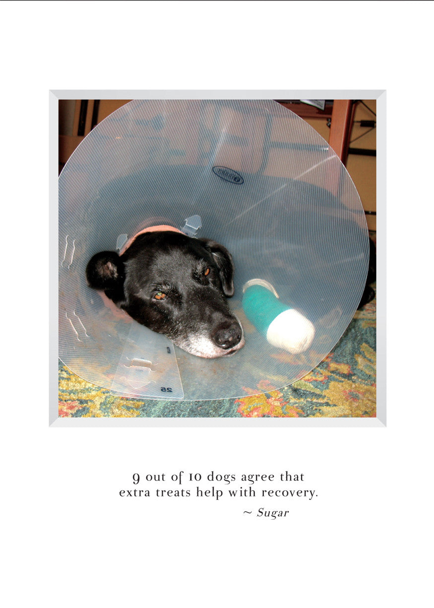 A806 - Get Well Sugar