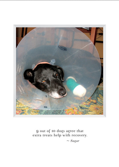 A806 - Get Well Sugar