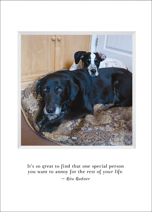 A810 - Sugar's Soulmate