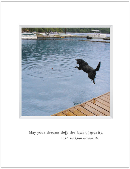 B505 - Sugar, Fetch!