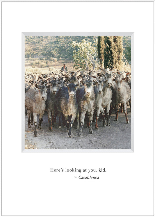 B511 - All Together Now