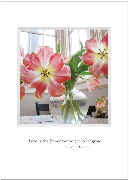 B528 - All You Need Is Love