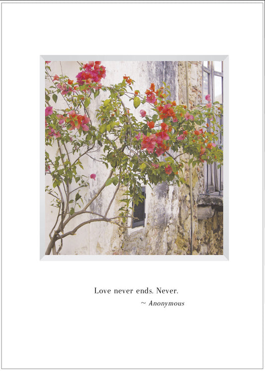 B534 - Heart to Heart