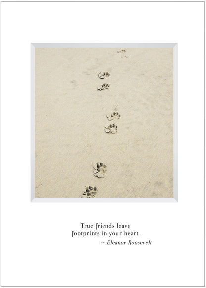 B539 - Treasured Friend