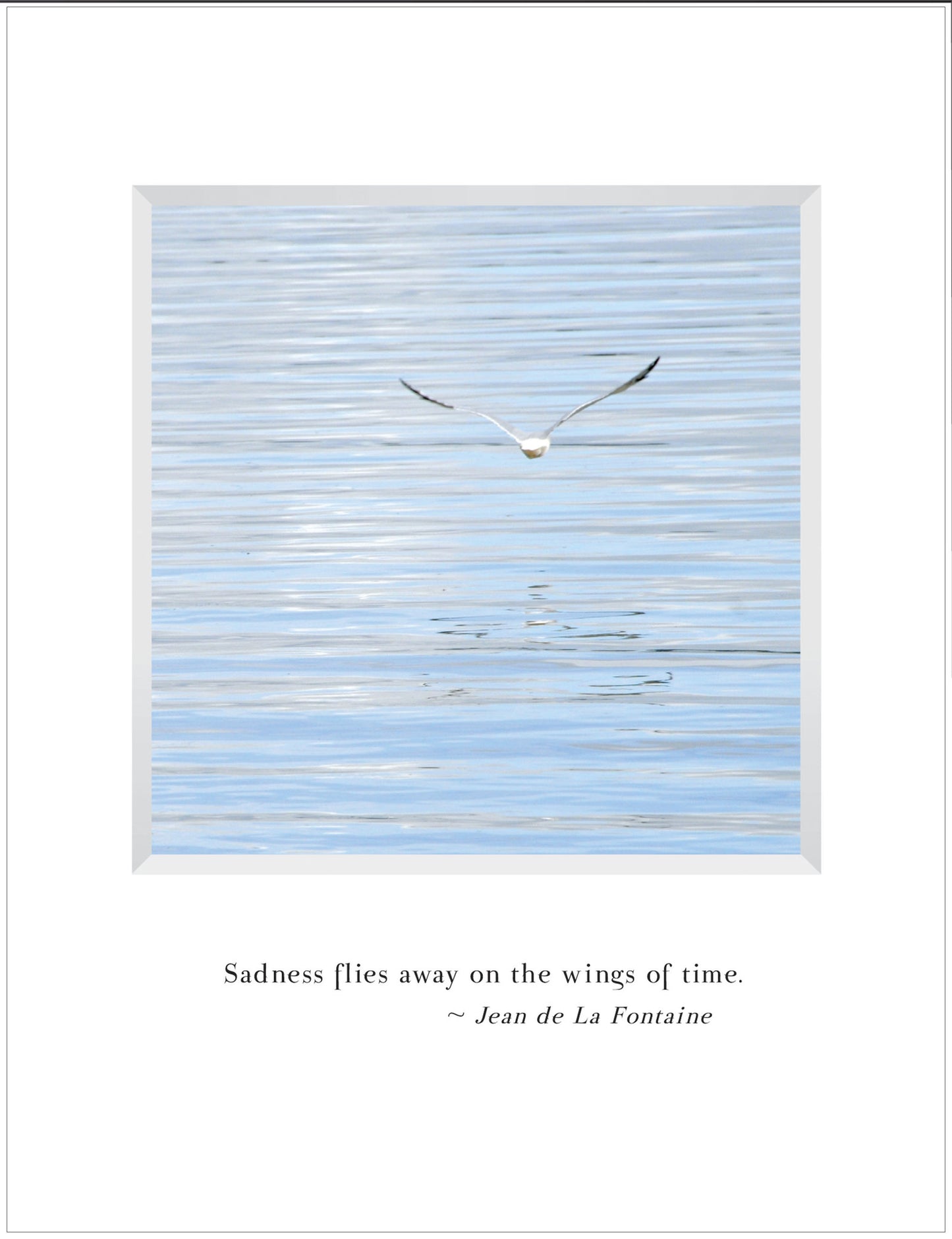 B547 - Wings of Time