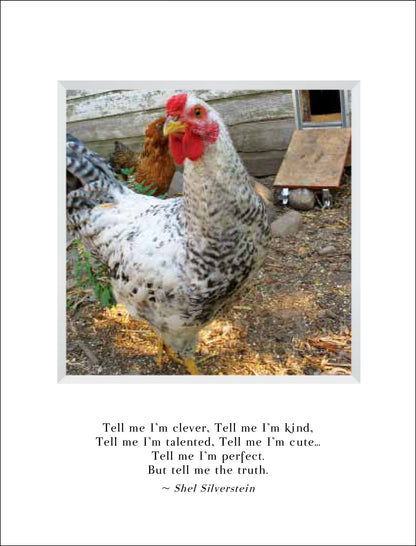 B572 - Strut Your Stuff