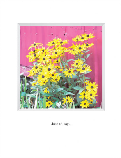 B576 - Black-eyed Susans