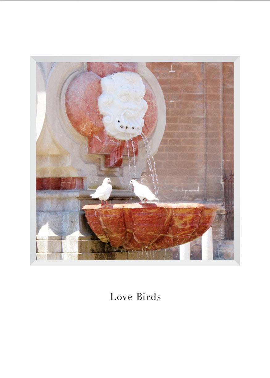 B596 - Bird Bath