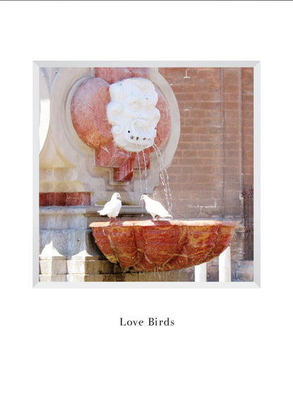 B596 - Bird Bath