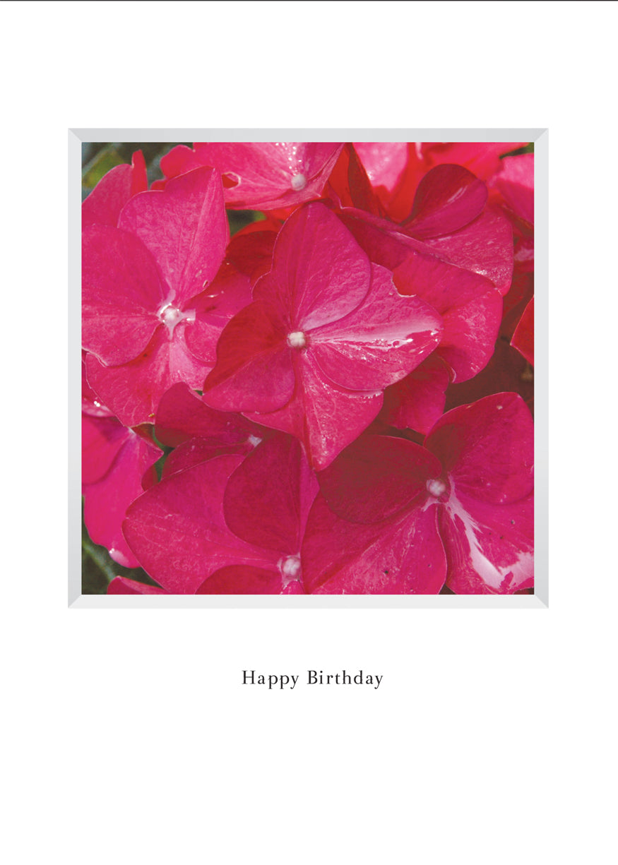 B612 - Bold and Beautiful