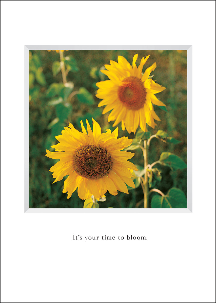 B620 - Sunny Flowers