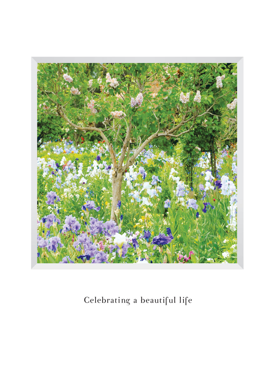 B629 - Garden Stroll