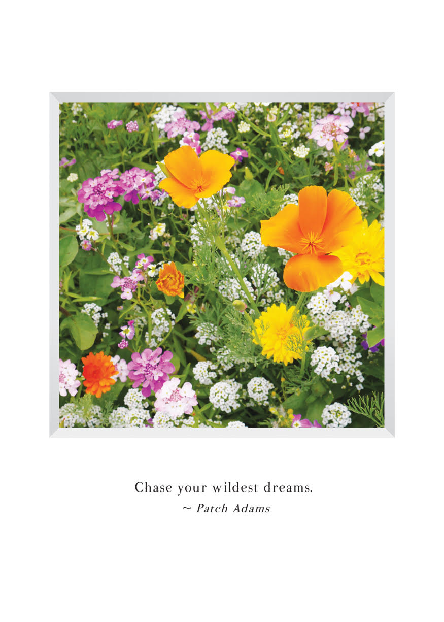 B642 - Wildflowers