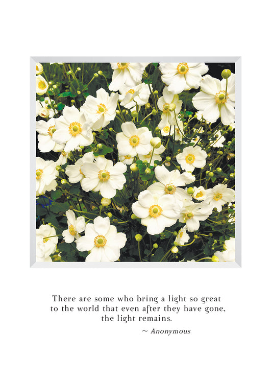 B648 - Light Remains