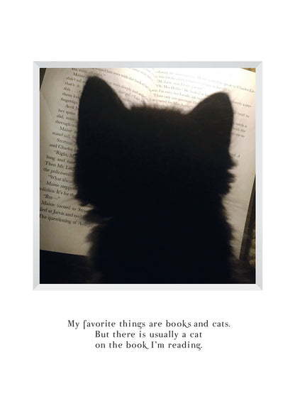 B659 - Midnight Reading