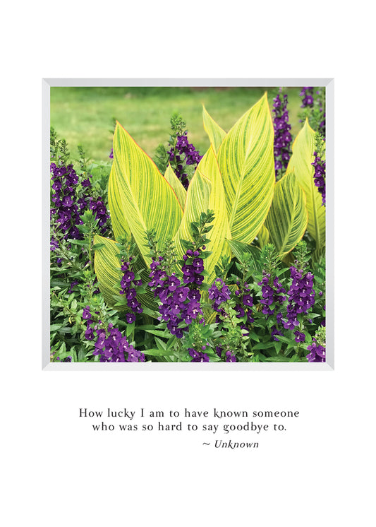 B660 - Canterbury Bells