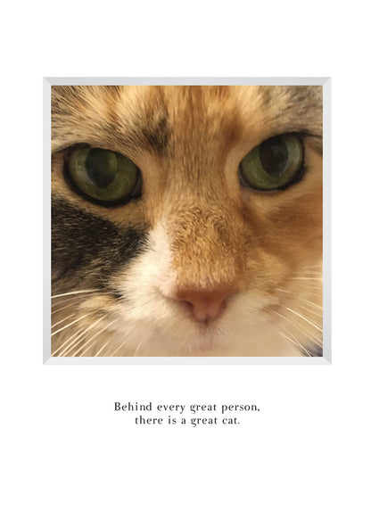 B670 - Eye of the Tiger