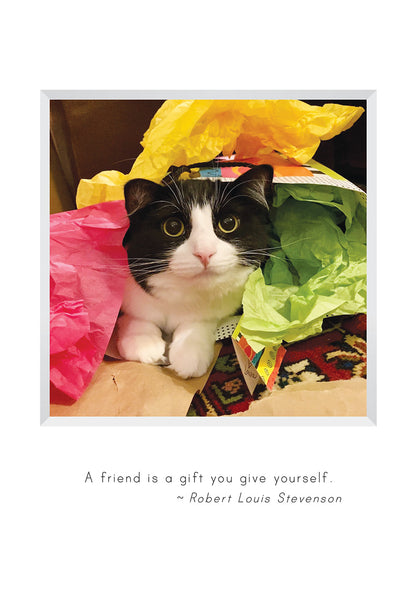 B678 - Purr-thday Present