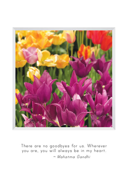 B680 - Sweet Memories