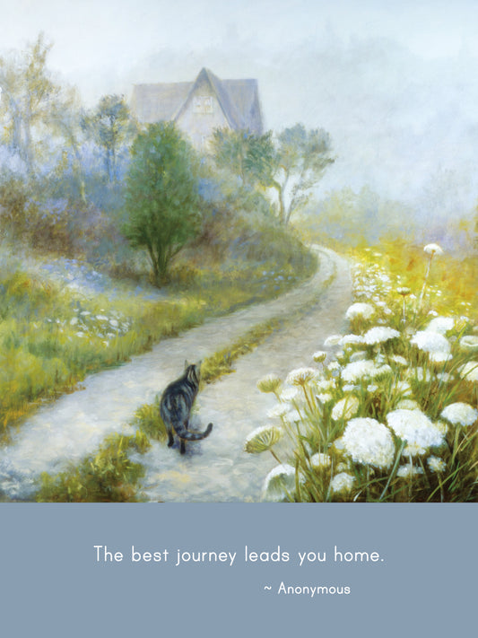 C1012 - New Cat, New Day