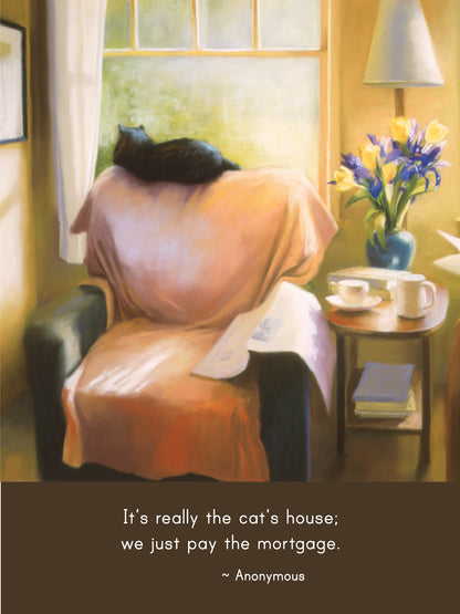 C1015 - Saturday Mornings