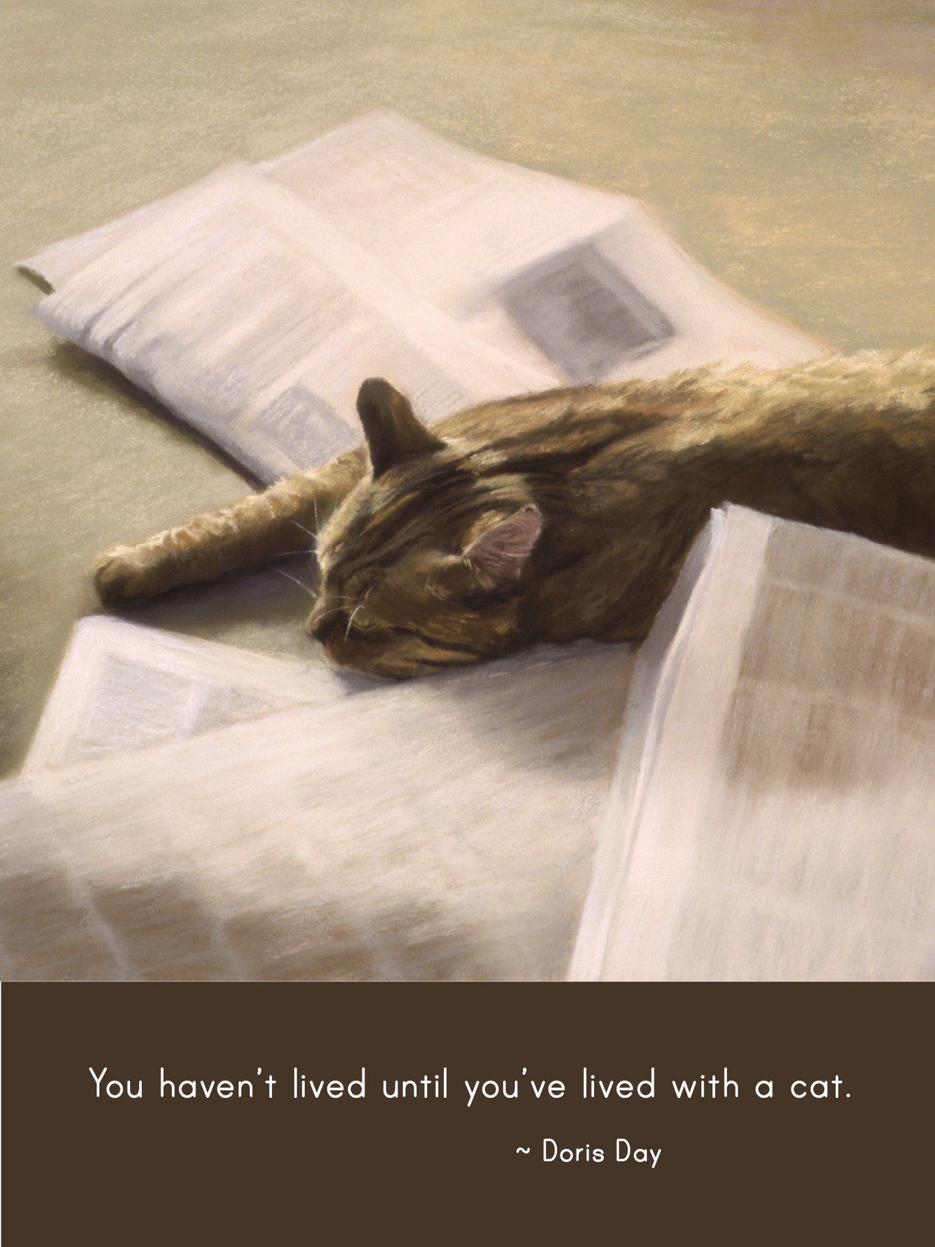 C1028 - The Evening Paper
