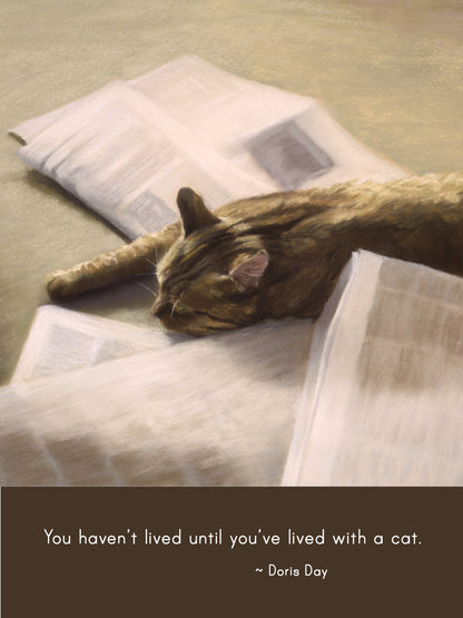 C1028 - The Evening Paper