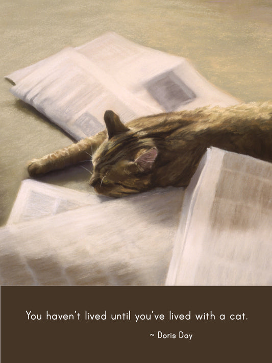 C1028 - The Evening Paper