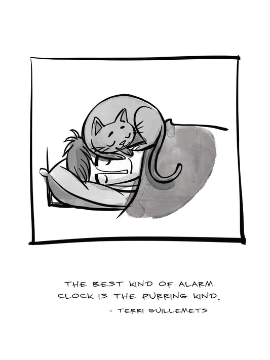 D2005 - Cordless Alarm