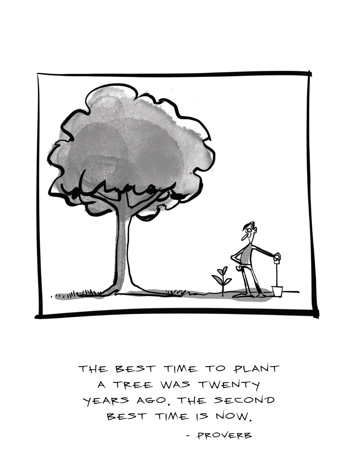 D2012 - Sapling