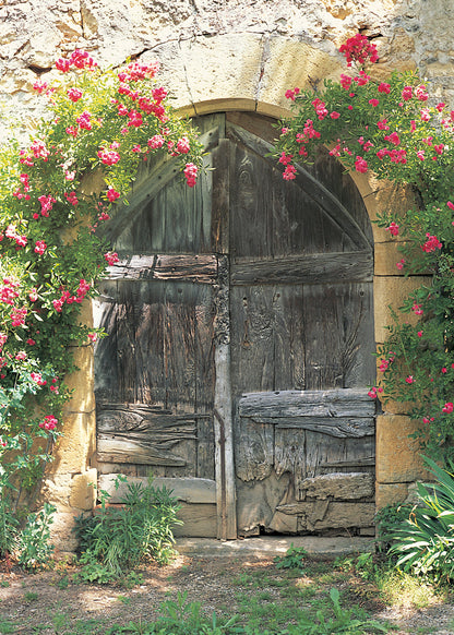 Q018 - Yesterday's Wine Cellar