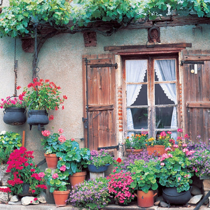 Q110 - Heart's Garden