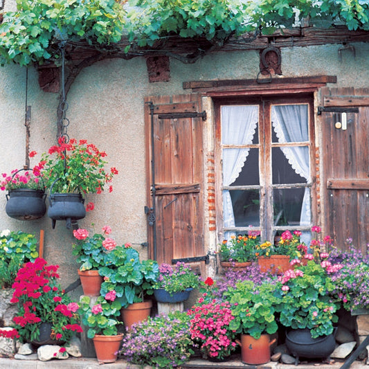 Q110 - Heart's Garden