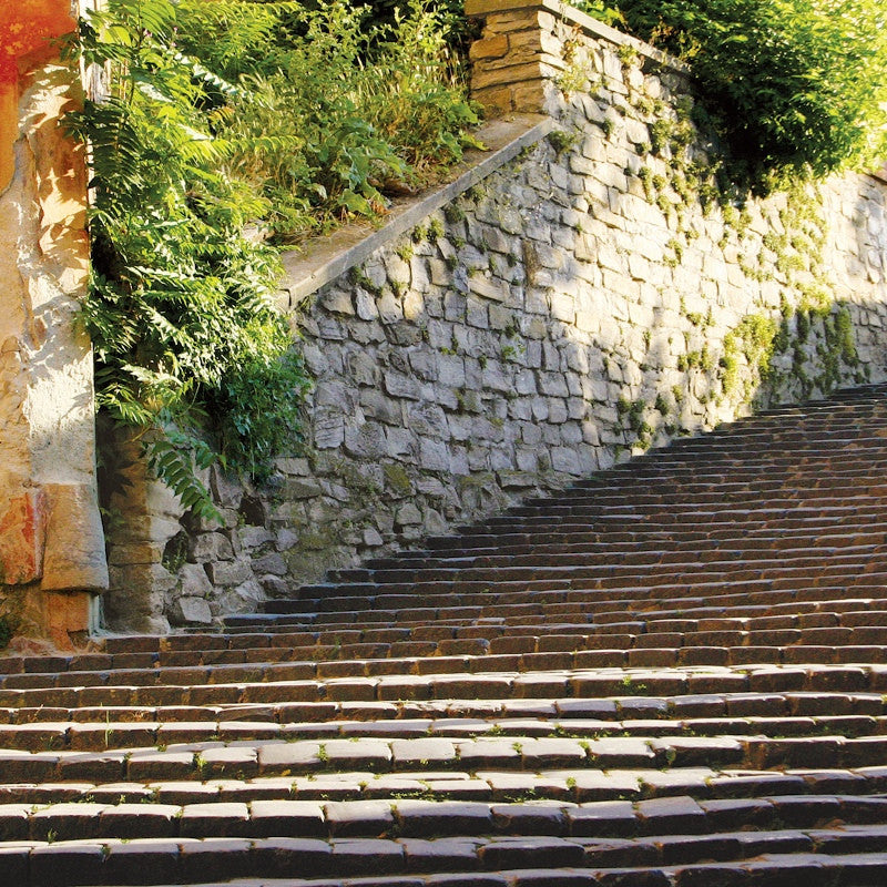 Q117 - Stairs at Dawn