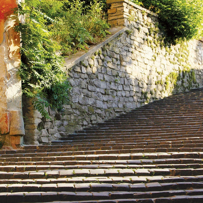 Q117 - Stairs at Dawn