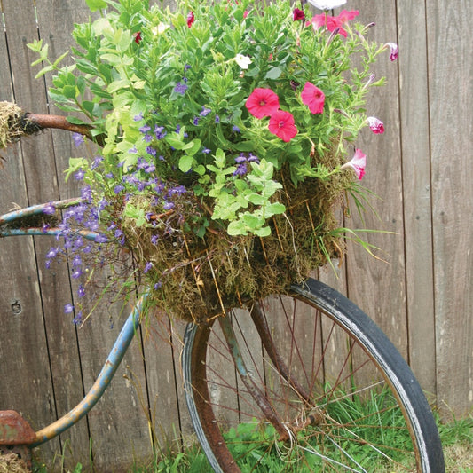 Q132 -  Traveler's Bouquet