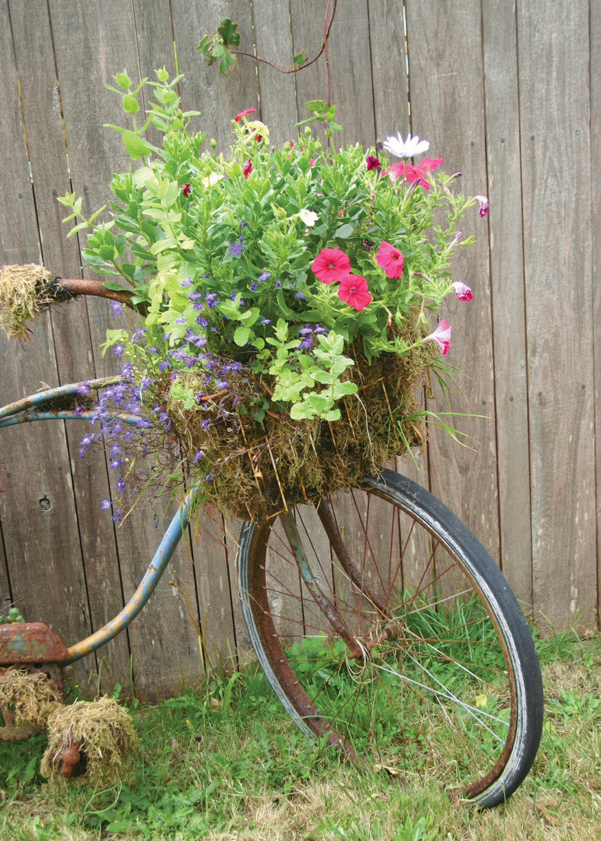 Q132 -  Traveler's Bouquet