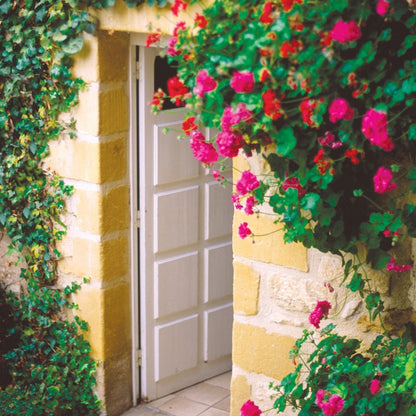 Q143 - Tomorrow's Dream