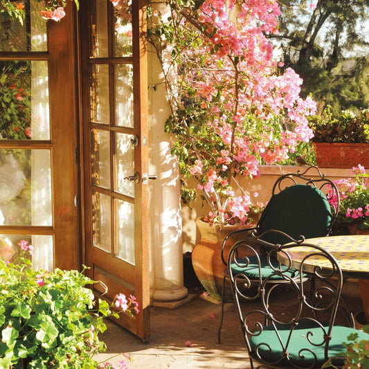 Q163 - Patio Paradise