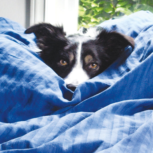 Q166 - Good Morning, Zoe