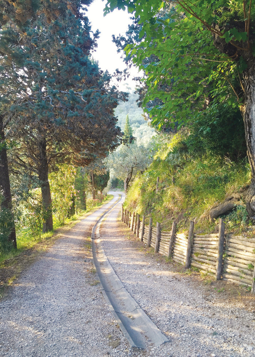 Q199 - Morning Stroll