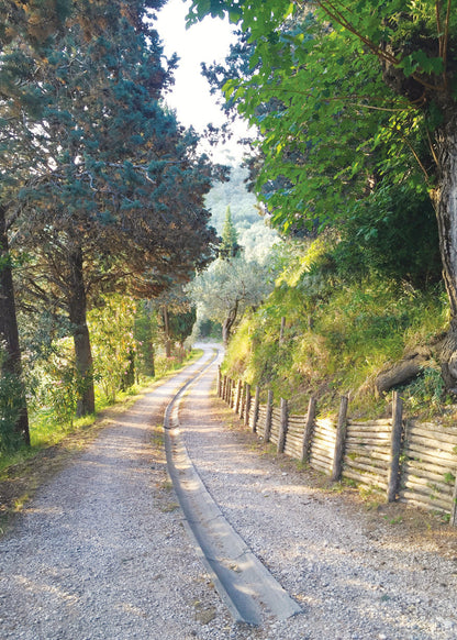 Q199 - Morning Stroll