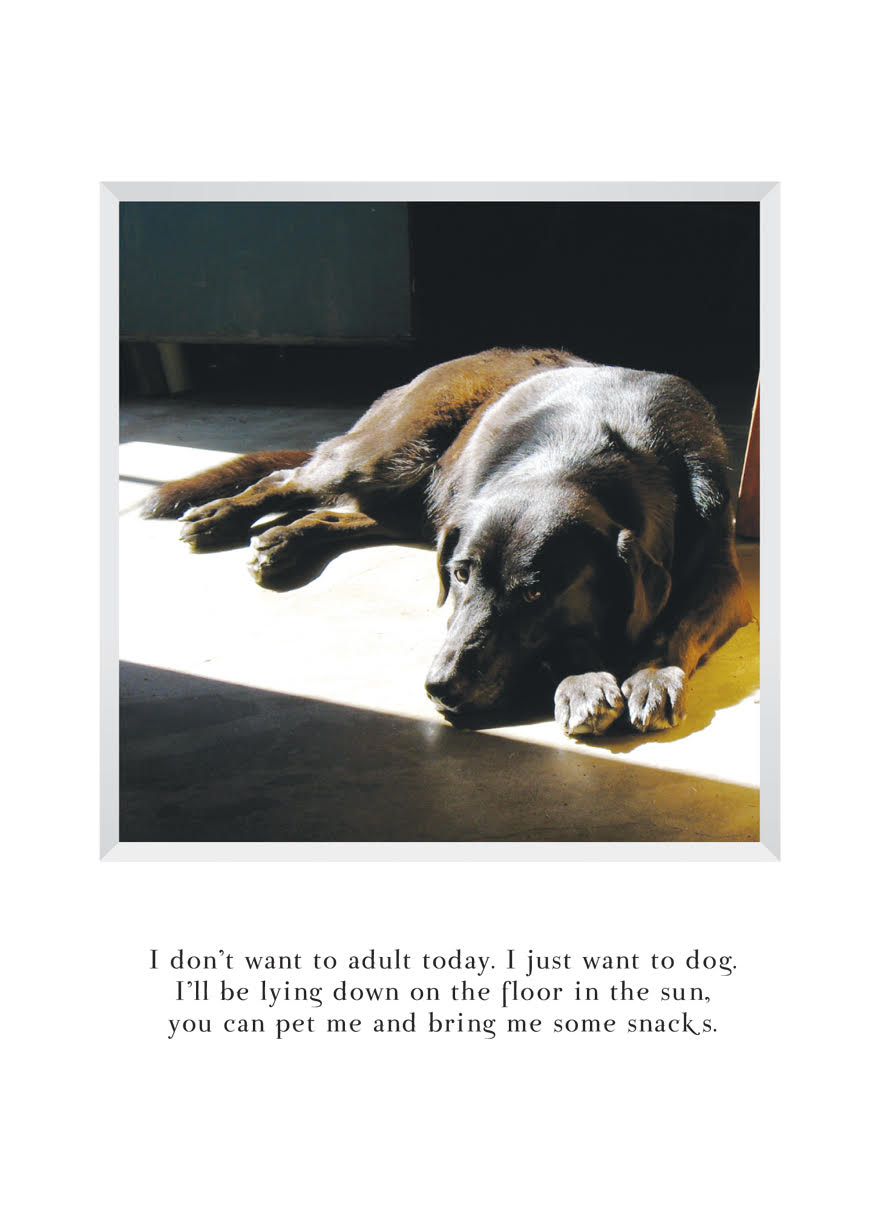 A816 - Sugar in the Sun